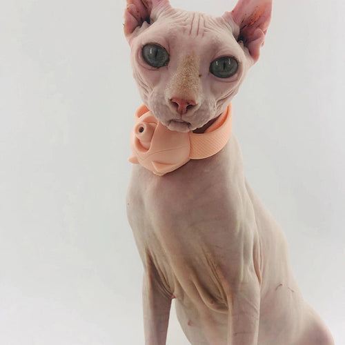 Laser Pointer Flashlight Cat Toy - Image 0
