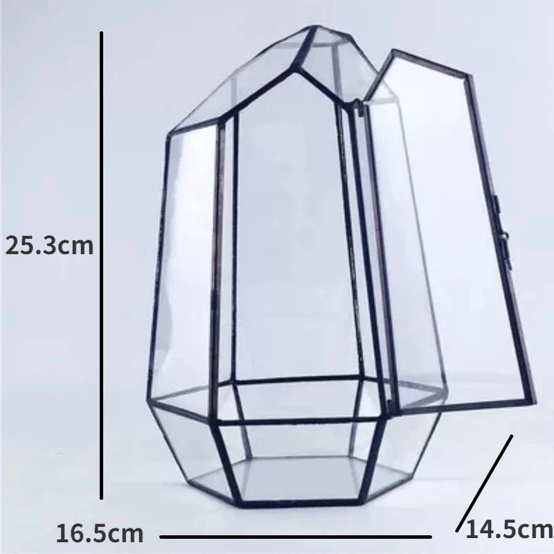 Modern Geometric Nature-Inspired Botanical Terrarium - Image 6