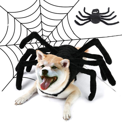 Black Spider Pet Costume - Image 0