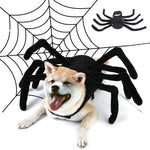 Black Spider Pet Costume