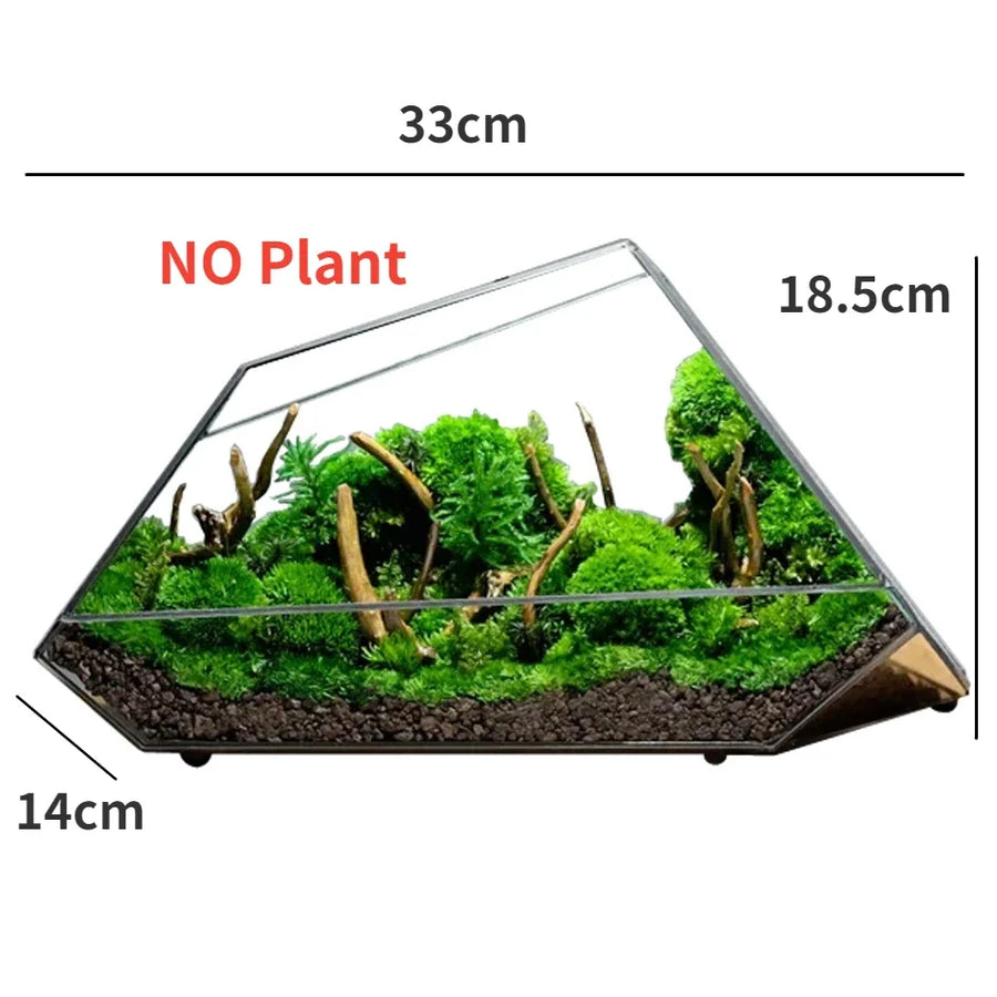 Geometric Glass Moss Planter Terrarium Vase - Image 5