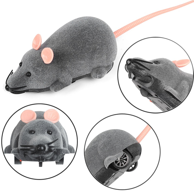 Pet Interactive Remote Control Toy - Image 4