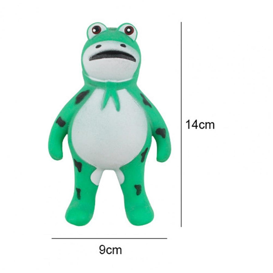 Squishy Frog Anti-Stress Toy - Image 5