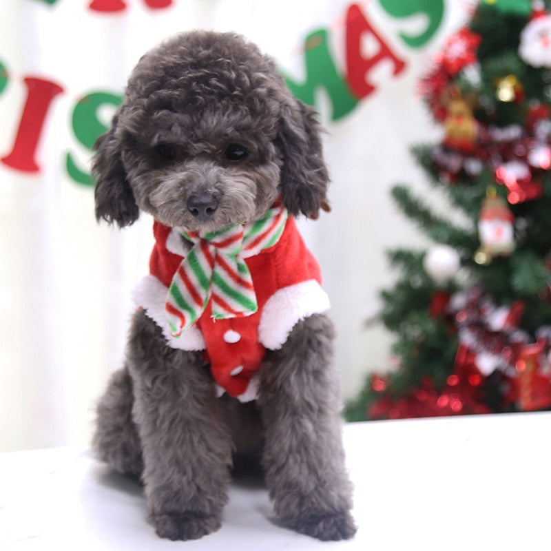 Santa Claus Home Winter Pet Costumes