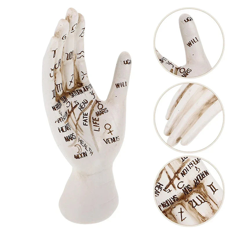 Zodiac Symbols Mystic Palmistry Hand Sculpture - Image 4