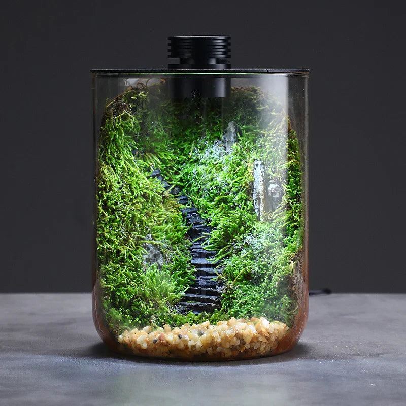 Mini Forest Maker Terrarium Decor Vase - Image 0