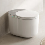 Instant Heat Compact Remote-Controlled Intelligent Automatic Bidet Toilet