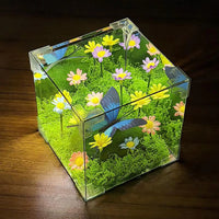 LED Butterfly Garden Cube Night Light Decor - Image 0