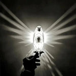 3D Eagle Wall Projection Lamp