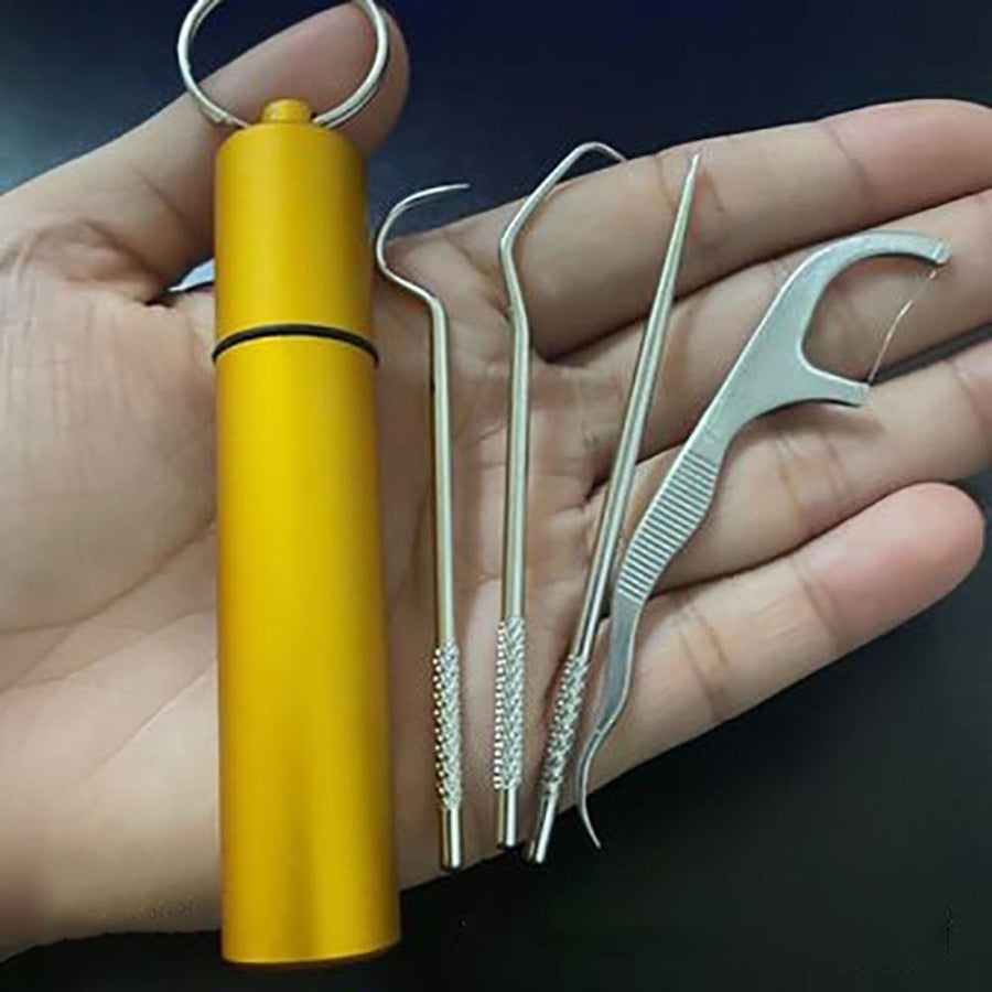 Minty Portable Metal Toothpick Cleaner Set - Image 1