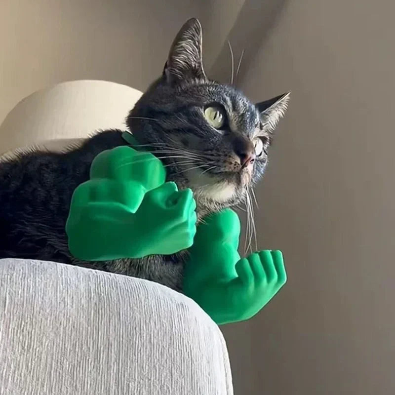 Body Builder Neck Hanging Pet Toy - Image 0