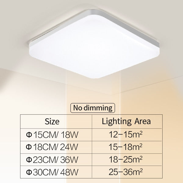 Natural Room Sleek LED Ceiling Light