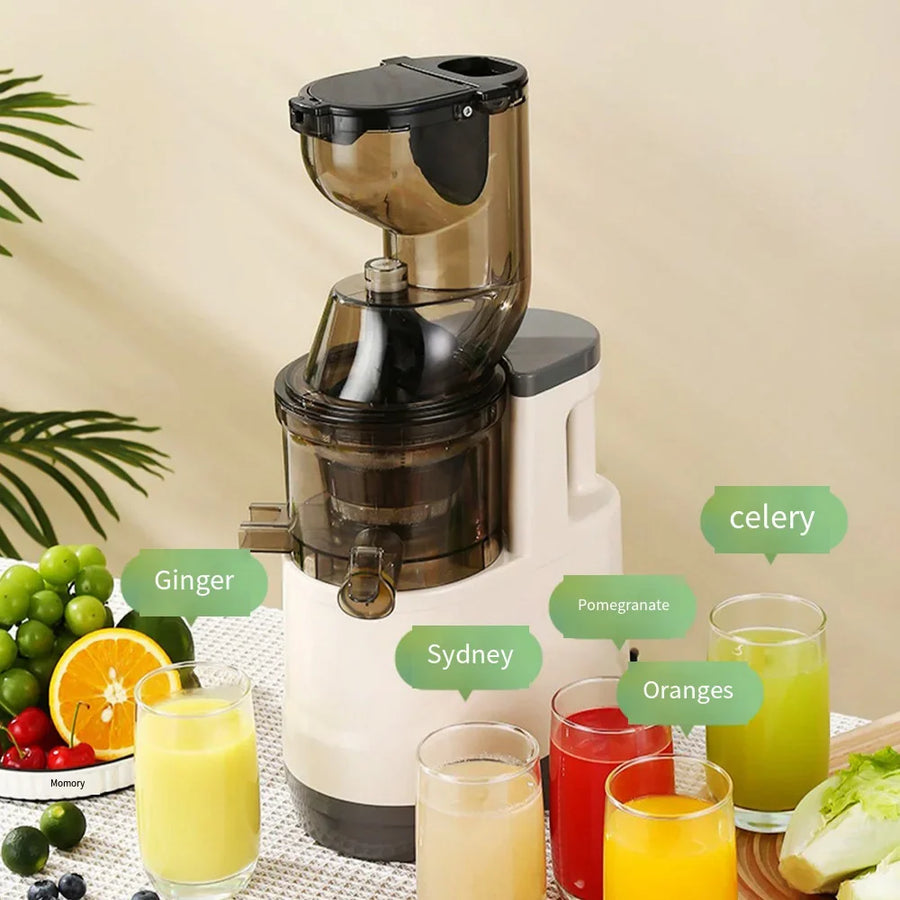 Electric Masticating Quick Vitamin Juicer Machine - Image 2