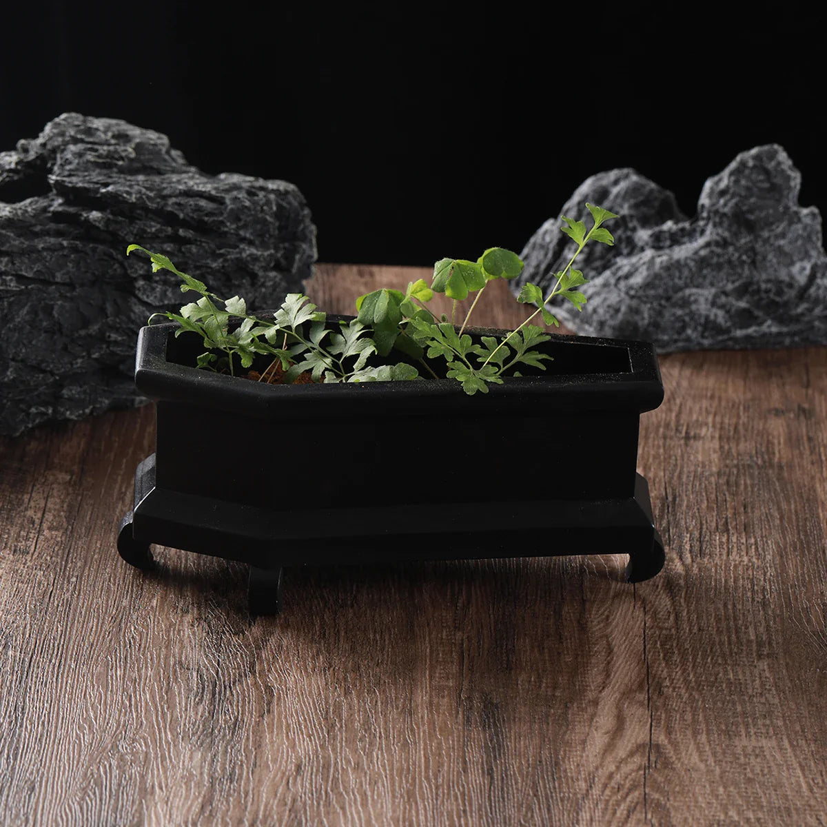 Rest In Leaves Coffin Plant Pot - Image 1