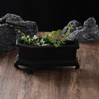 Rest In Leaves Coffin Plant Pot - Image 1