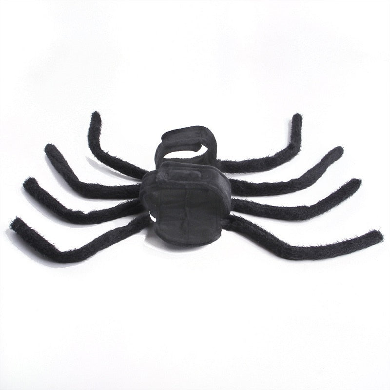 Black Spider Pet Costume - Image 1