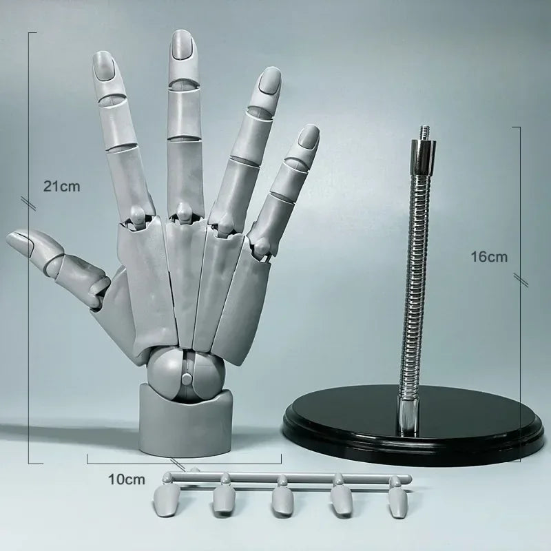 Multi-Pose Drawing Sculpting Art Hand Model - Image 13