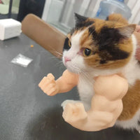 Body Builder Neck Hanging Pet Toy - Image 3