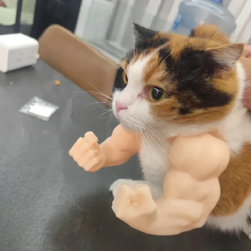 Body Builder Neck Hanging Pet Toy - Image 3