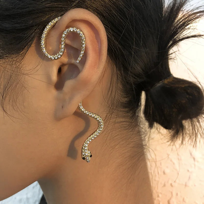 Shiny Snake Wrap Earring - Image 0