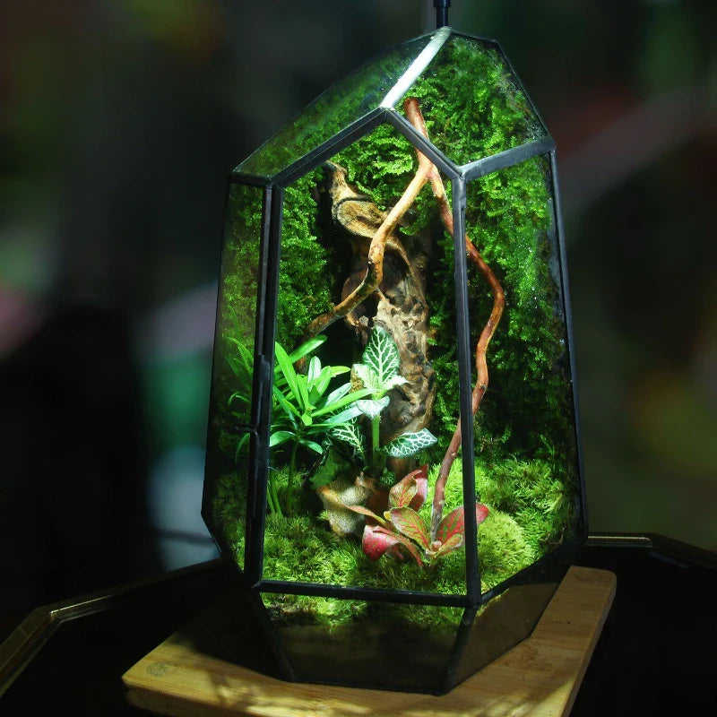 Modern Geometric Nature-Inspired Botanical Terrarium - Image 2