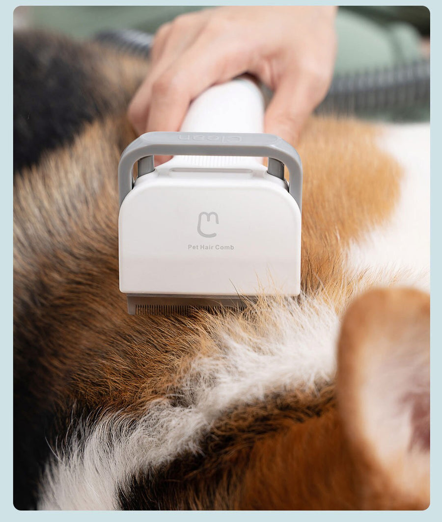 6in1 Electric Pet Grooming Vacuum Cleaner - Image 4