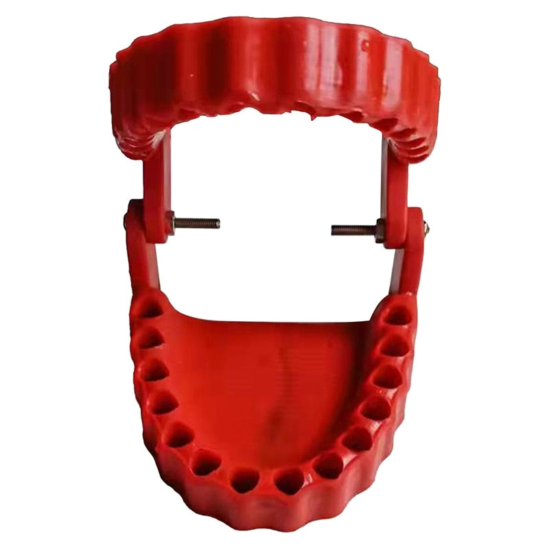 3D Jaw Denture Bit Holder Set - Image 4