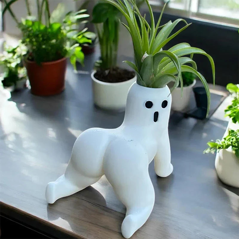 Teasing Ghost Plant Mini Vase - Image 2