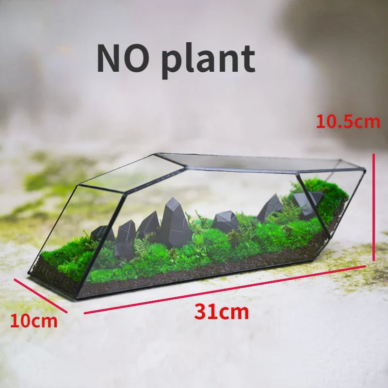Geometric Glass Moss Planter Terrarium Vase - Image 6