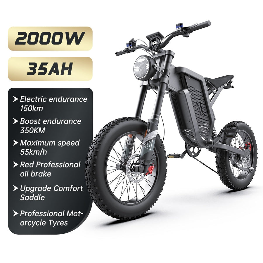 Mountain Monster Snow Electric Bike - Image 6