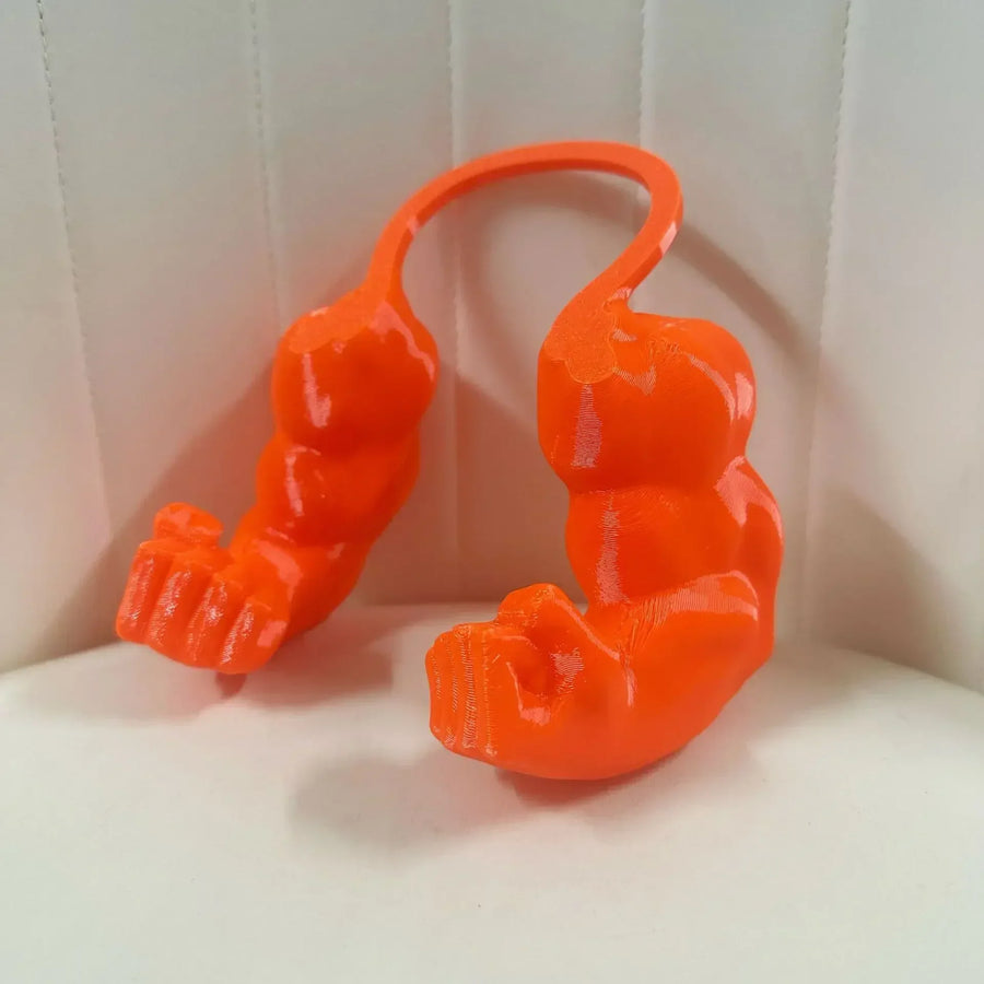 Body Builder Neck Hanging Pet Toy - Image 5