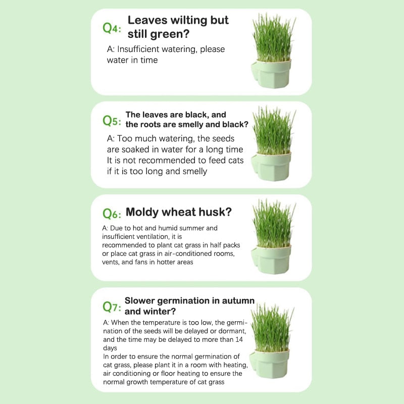 Cat Snack Mint Planting Pot - Image 7