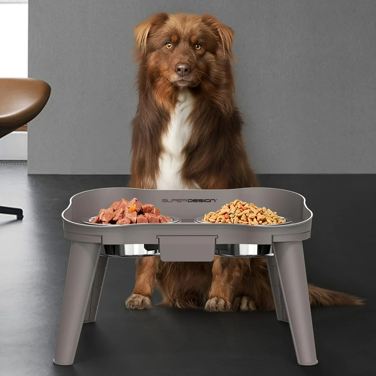 Elevated Healthy Digestion Comfortable Feeding Dog Bowls