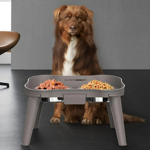 Elevated Healthy Digestion Comfortable Feeding Dog Bowls - Image 0