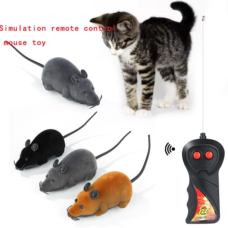 Pet Interactive Remote Control Toy