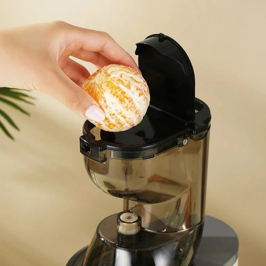 Electric Masticating Quick Vitamin Juicer Machine - Image 3