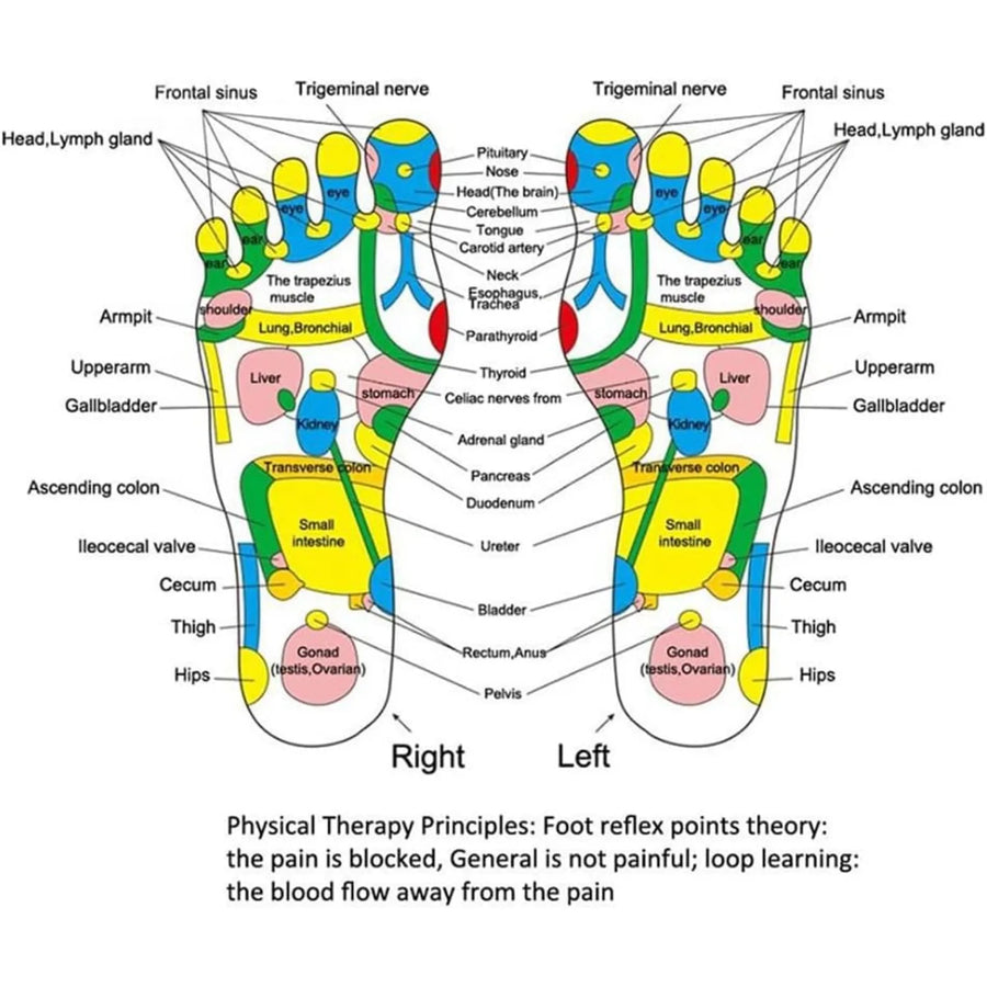 Multi-Point Reflexology Stress Relief Foot Massage Mat - Image 5