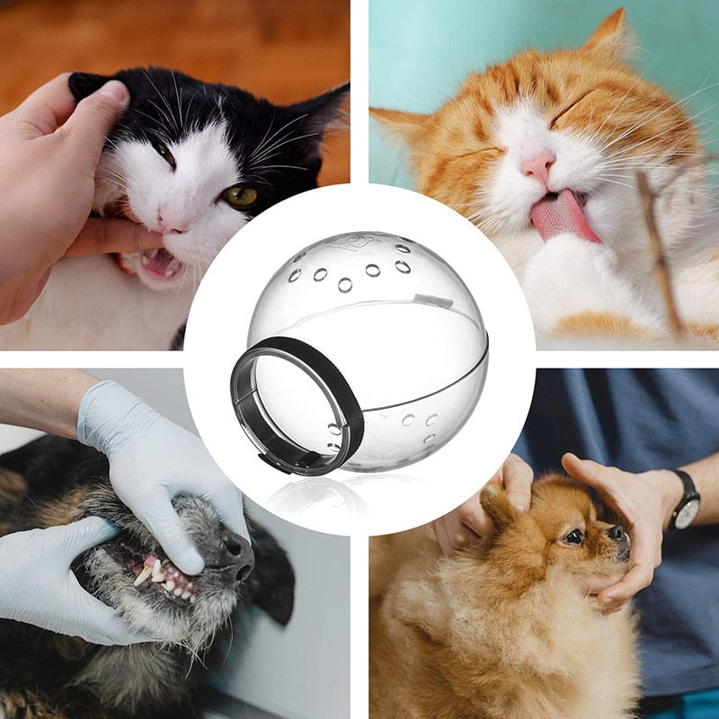 Cat Grooming Anti-Bite Head Cover - Image 1