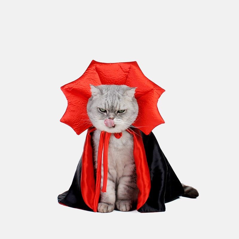 Vampire Cat Halloween Costume - Image 1
