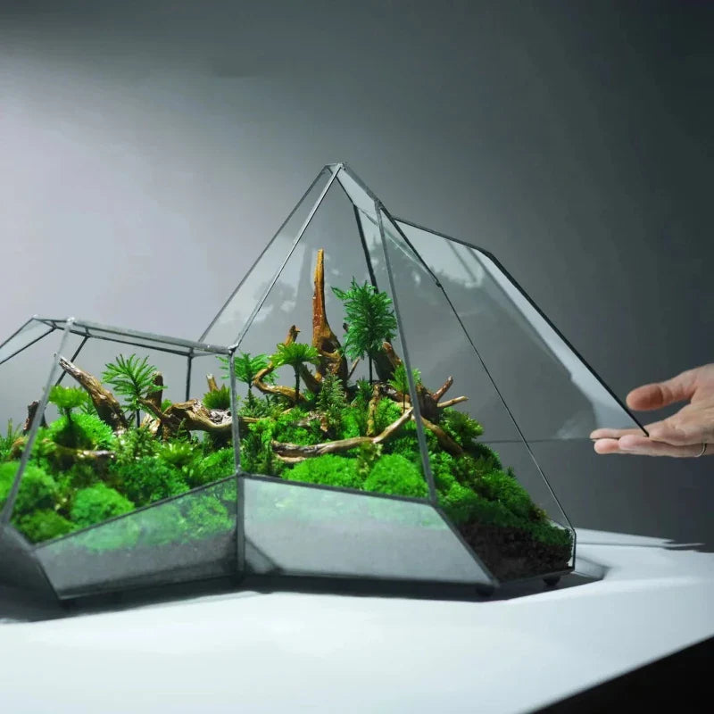 Geometric Glass Moss Planter Terrarium Vase - Image 4
