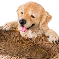Golden Retriever Puppy Bird Bath Garden Statue - Image 7