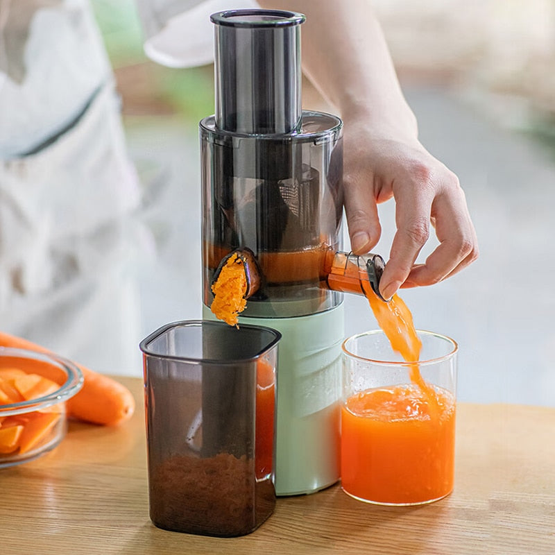 Pure Aroma Mini Multifunctional Juicer