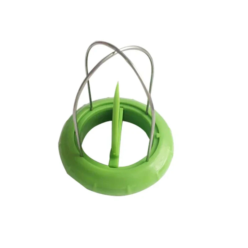 Fruit Lover Kiwi Cutter - Image 6