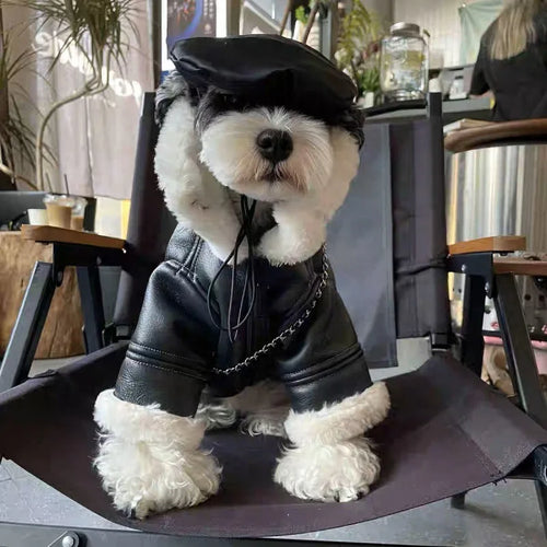 Biker Motorcycle Cotton Dog Coat - Image 0