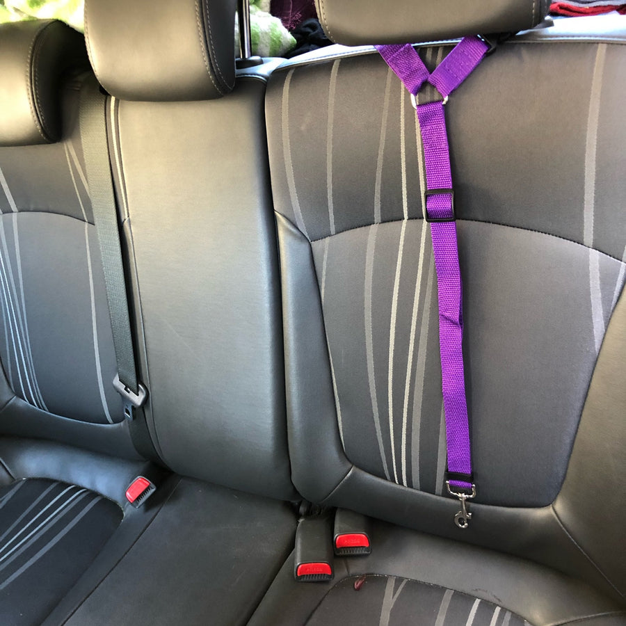Adjustable Secure Pet Car Seat Belt - Image 0
