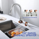 Next Level Rainfall Pull Out Waterfall Kitchen Faucet