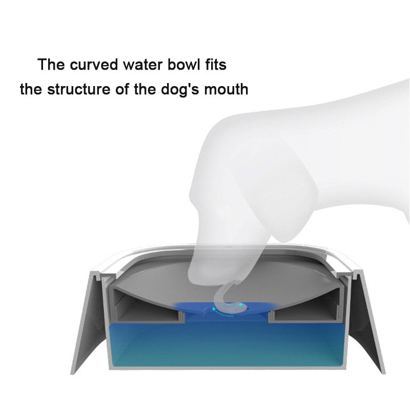 No-Spill Pet Water Dispenser Bowl