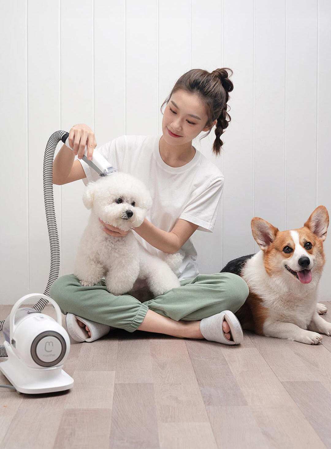 6in1 Electric Pet Grooming Vacuum Cleaner