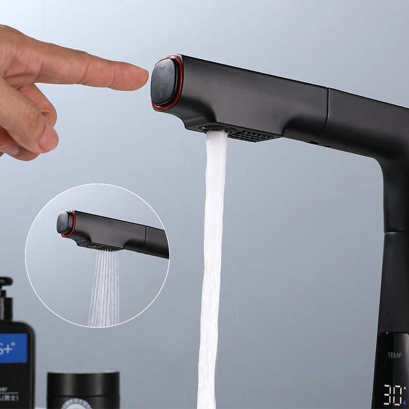 Flow Pro Rotatable Temperature Display Smart Faucet