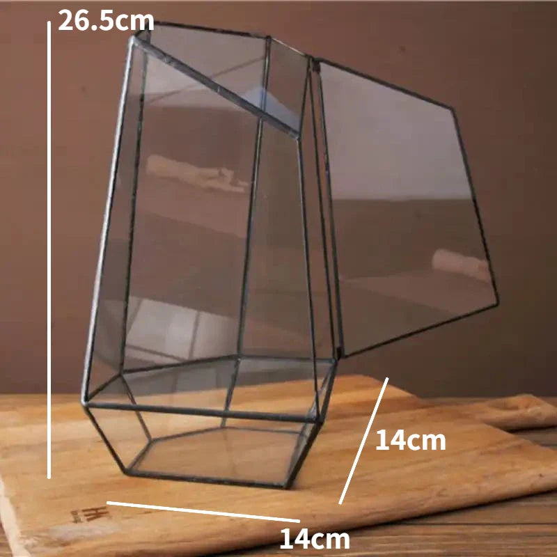 Modern Geometric Nature-Inspired Botanical Terrarium - Image 8